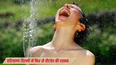 हरियाणा-दिल्ली में फिर से हीटवेव की दस्तक, इन राज्यों में होगी बारिश